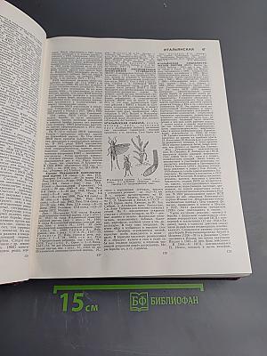 Большая Советская Энциклопедия, Том 11: Италия - Кваркуш