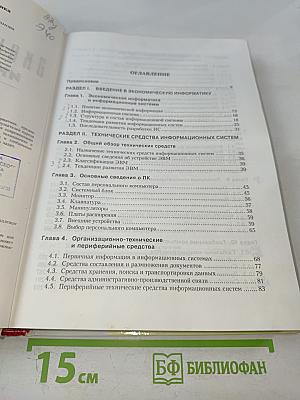 Экономическая информатика