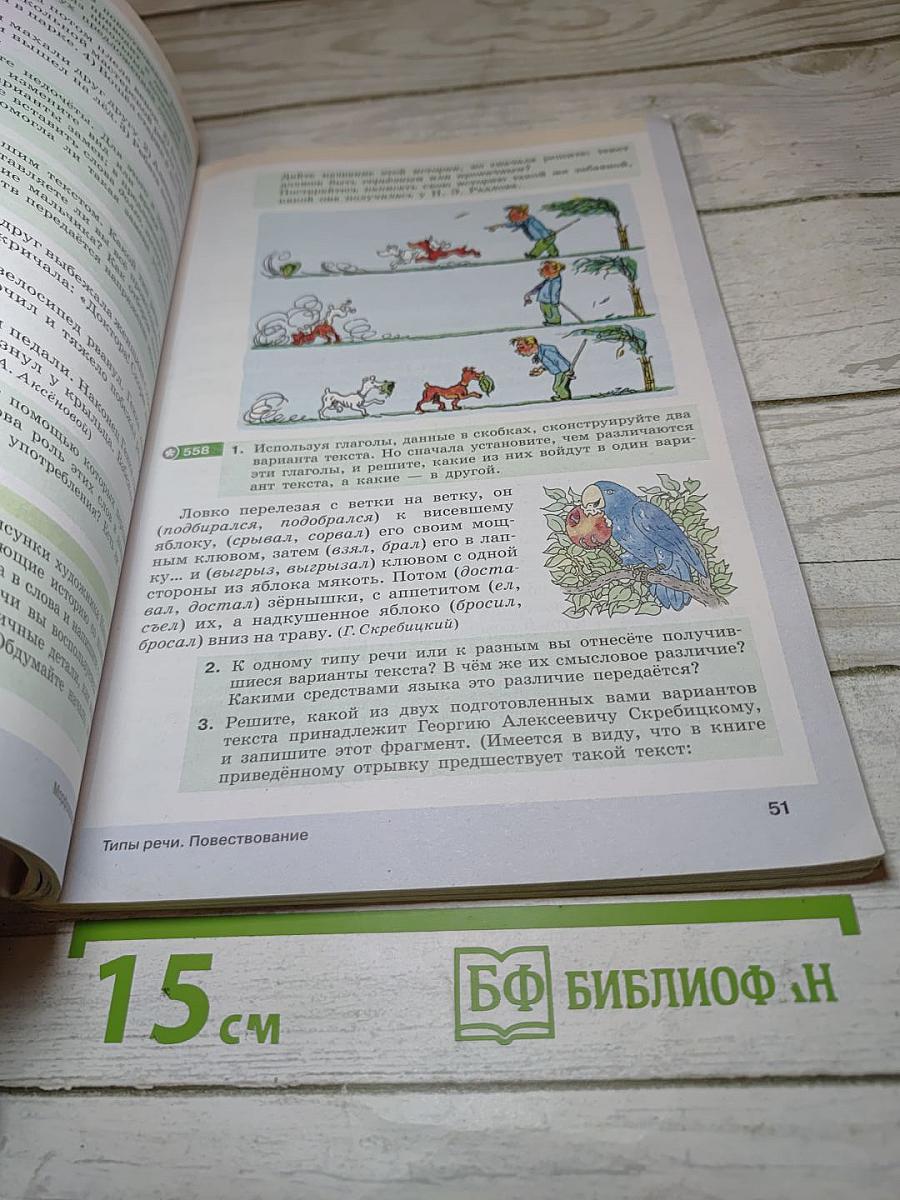 Русский язык. 6 класс. Часть II