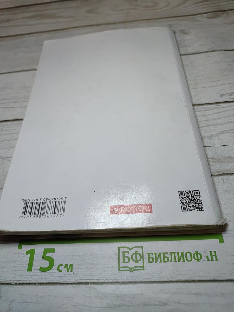 Русский язык. 6 класс. Часть II