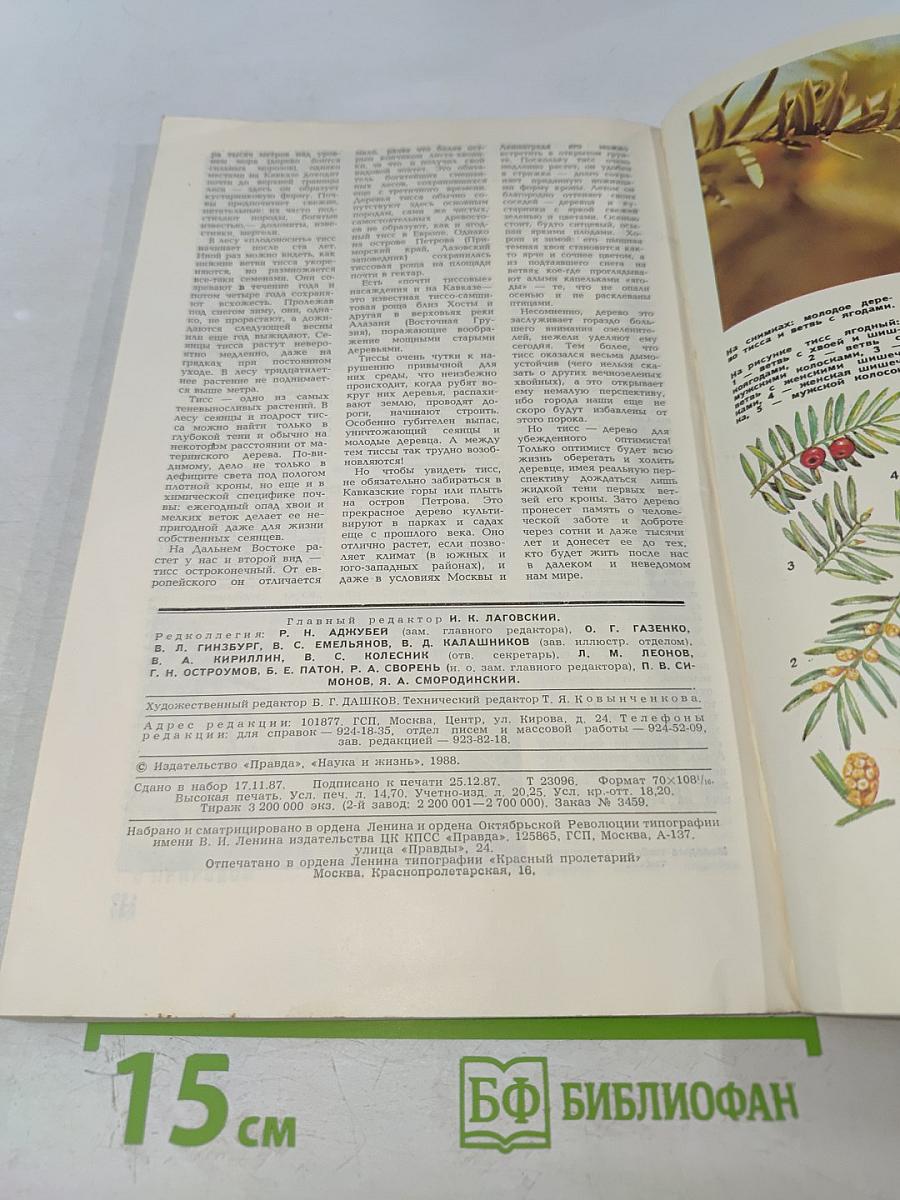 Наука и жизнь №2