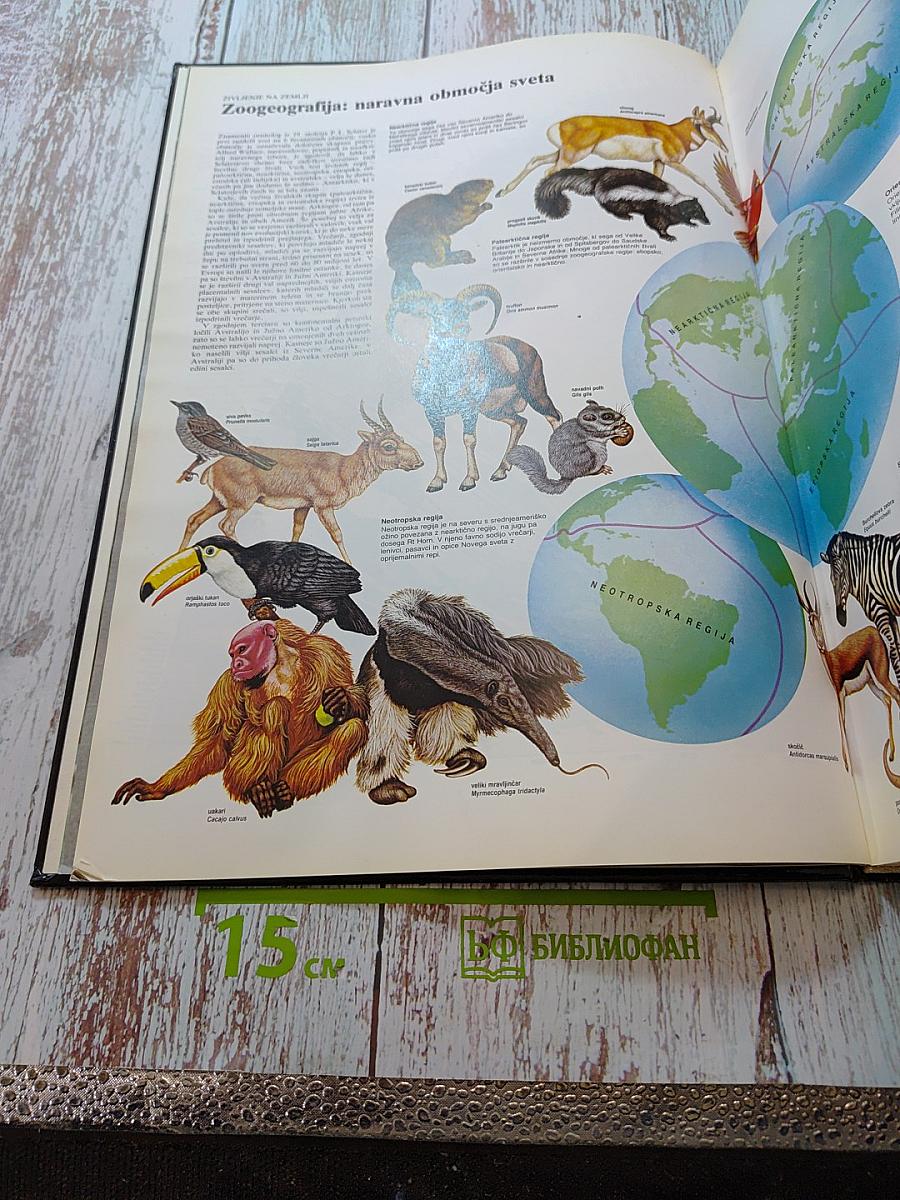 Veliki atlas živali