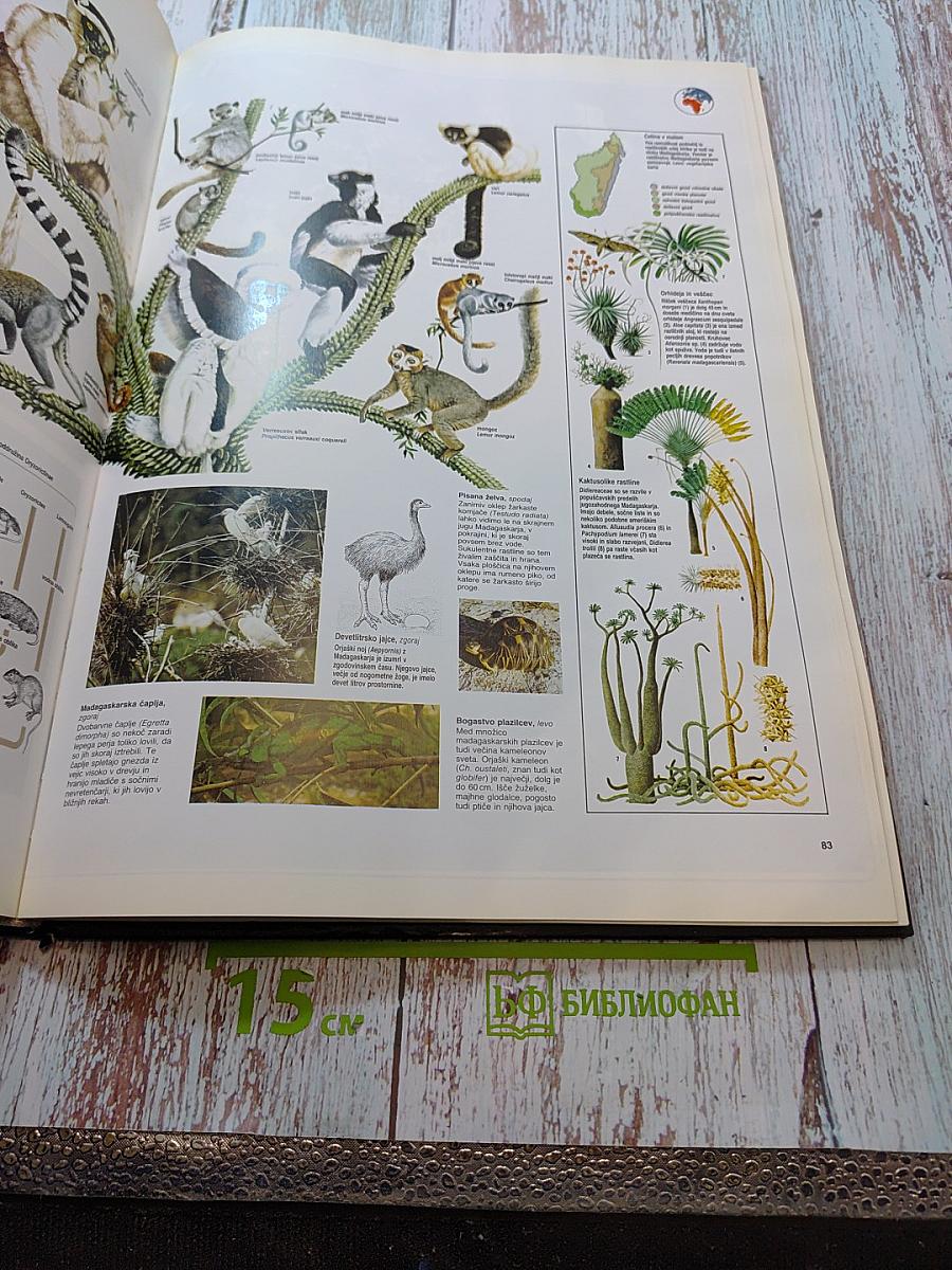 Veliki atlas živali