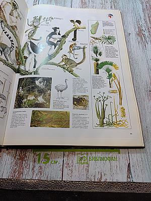 Veliki atlas živali