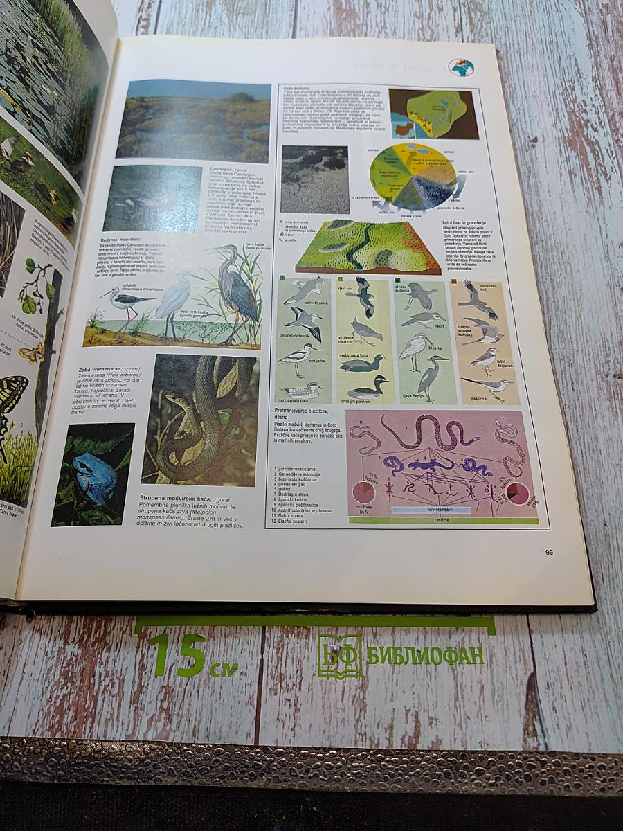 Veliki atlas živali