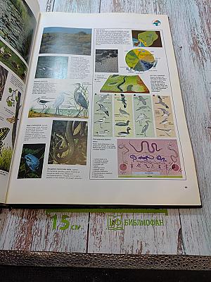 Veliki atlas živali