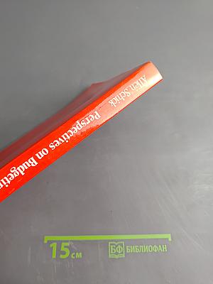 Perspectives on Budgeting, 2nd Edition