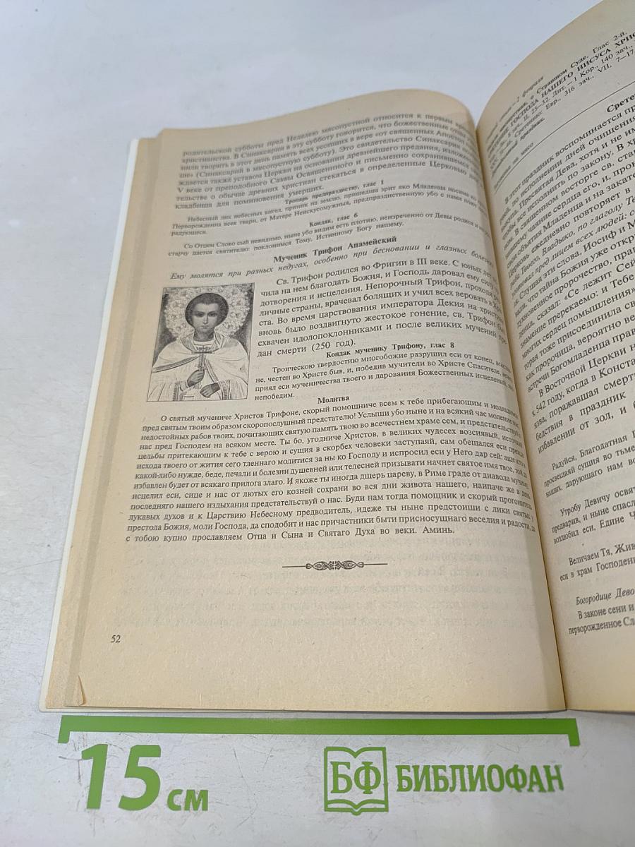 Целебный календарь на 2004 год