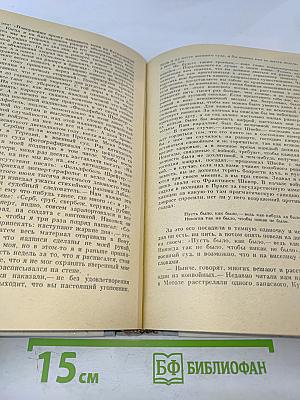 Похождения бравого солдата Швейка