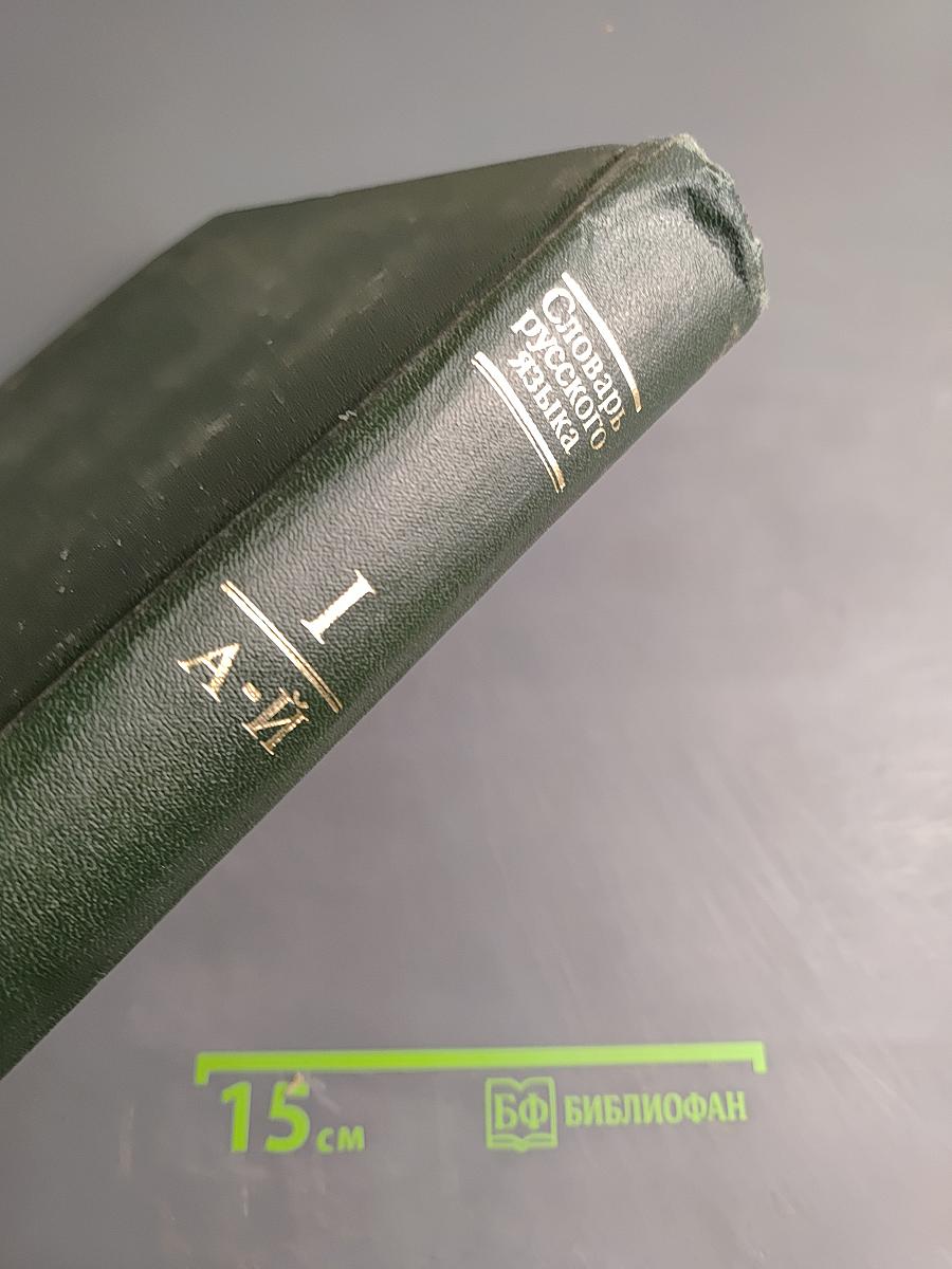 Словарь русского языка. Том I. А-Й