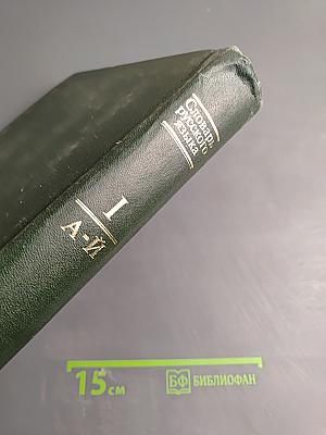 Словарь русского языка. Том I. А-Й