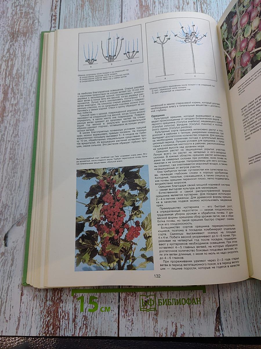 Энциклопедия садовода