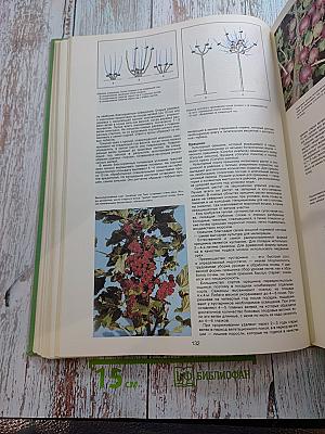 Энциклопедия садовода