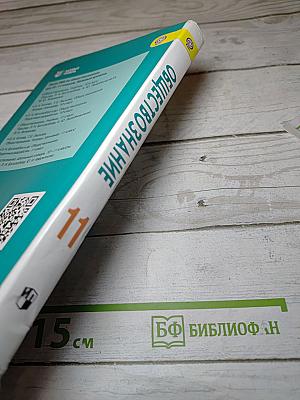 Обществознание. 11 класс