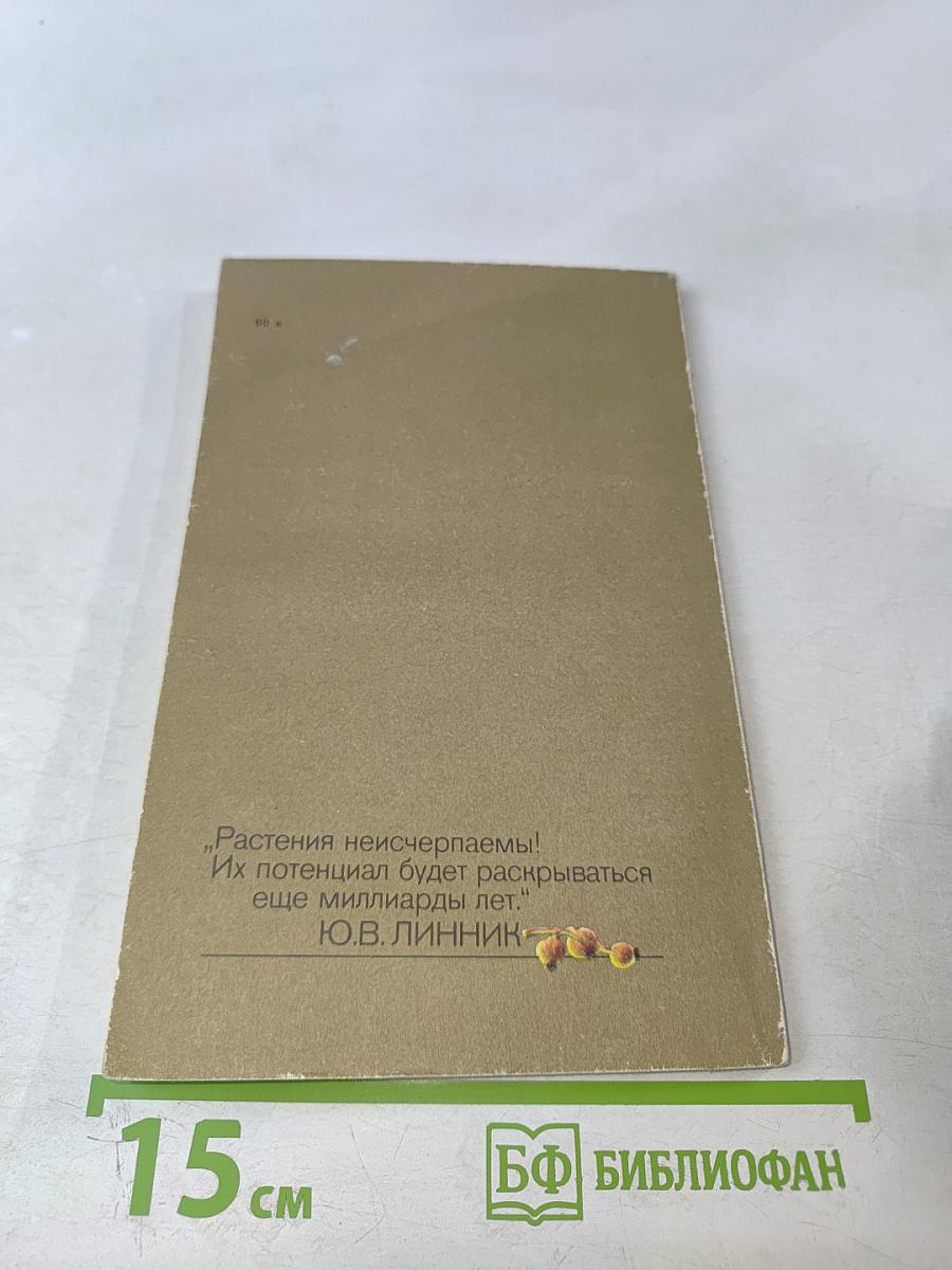 Применение плодово-ягодных растений в медицине