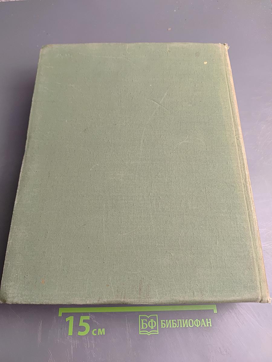 История русского искусства, Том II