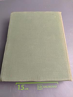 История русского искусства, Том II