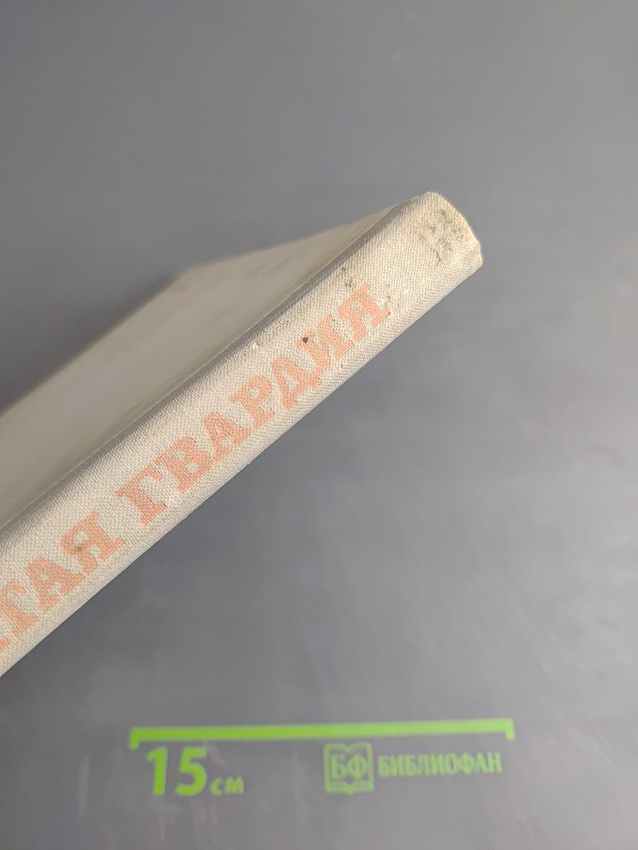 Крылатая гвардия