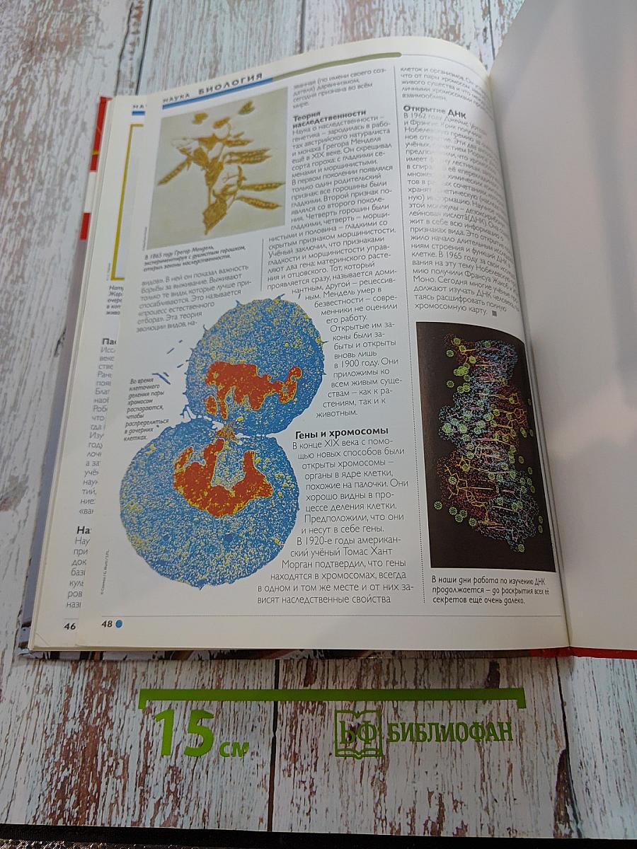 Наш мир от А до Я. Энциклопедия для детей. Том 5. От Байкало-Амурской магистрали до биологии