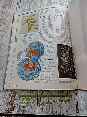 Наш мир от А до Я. Энциклопедия для детей. Том 5. От Байкало-Амурской магистрали до биологии