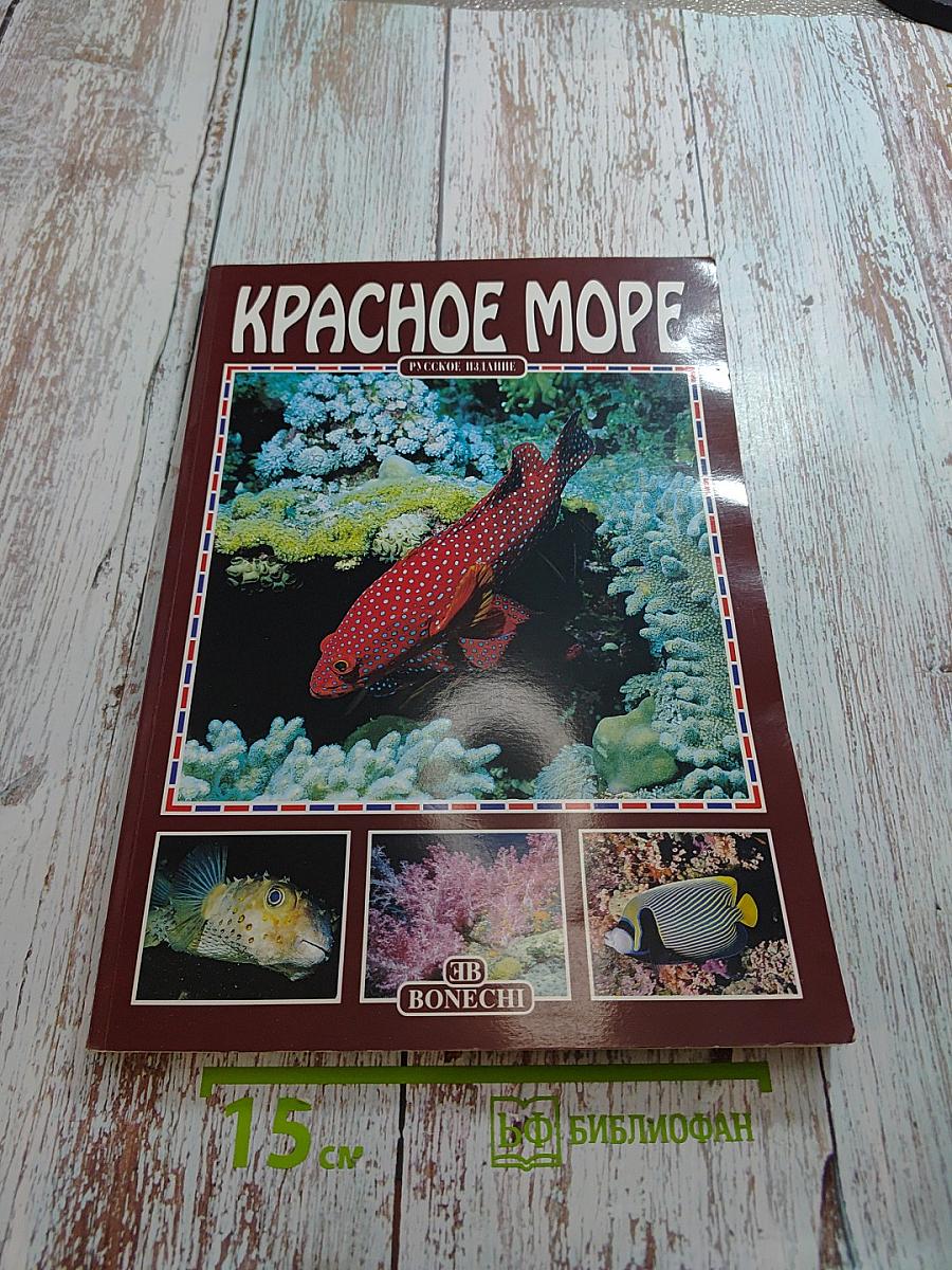 Красное море