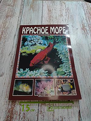 Красное море
