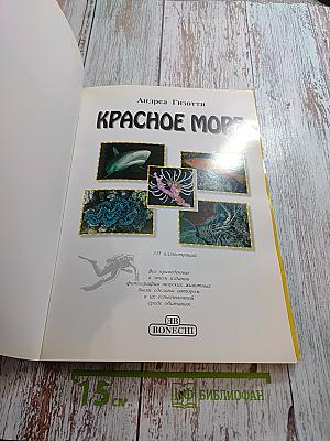 Красное море