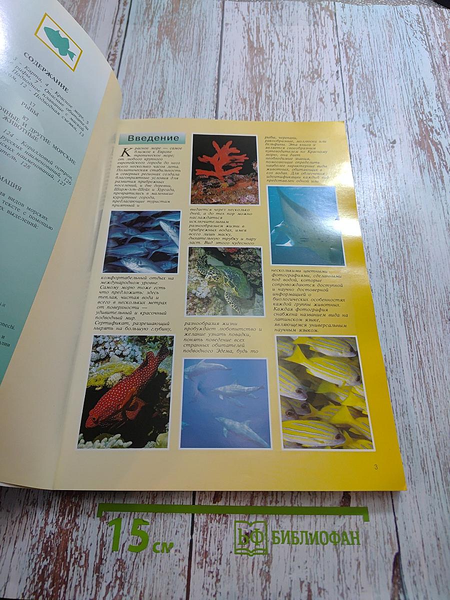 Красное море