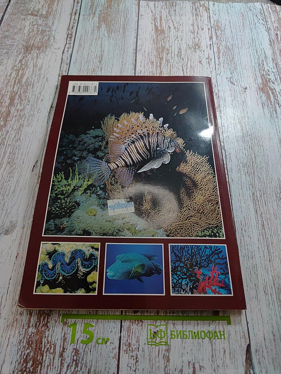 Красное море