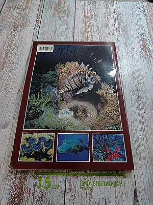 Красное море