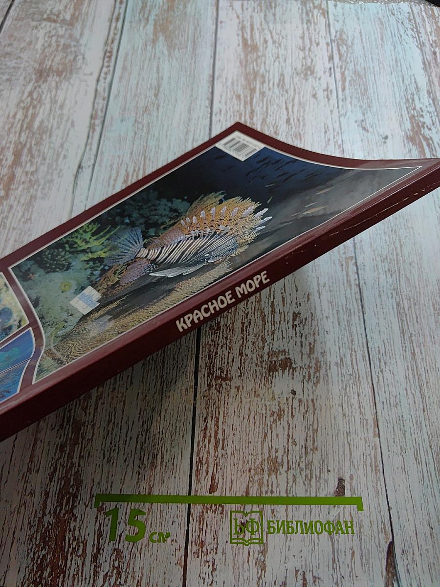 Красное море