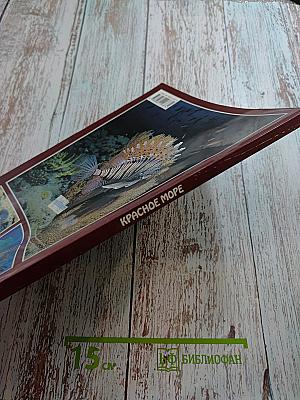 Красное море