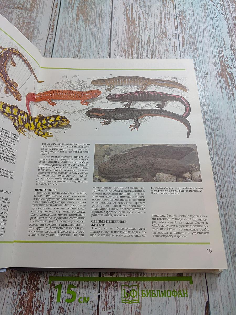 Детская энциклопедия Царство животных