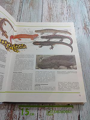 Детская энциклопедия Царство животных