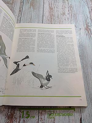 Детская энциклопедия Царство животных