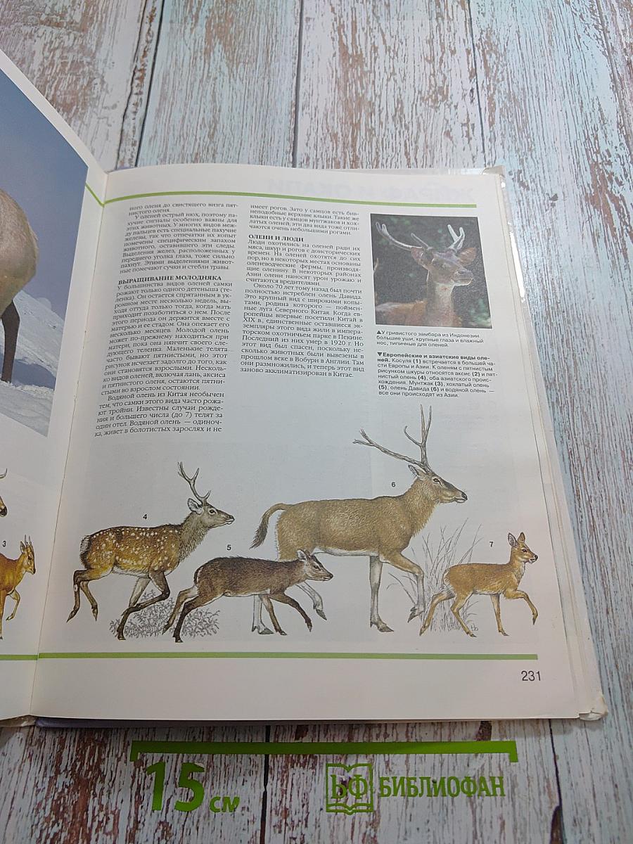 Детская энциклопедия Царство животных