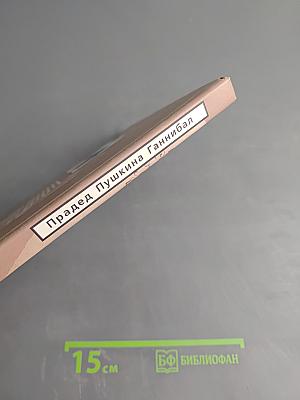 Прадед Пушкина Ганнибал