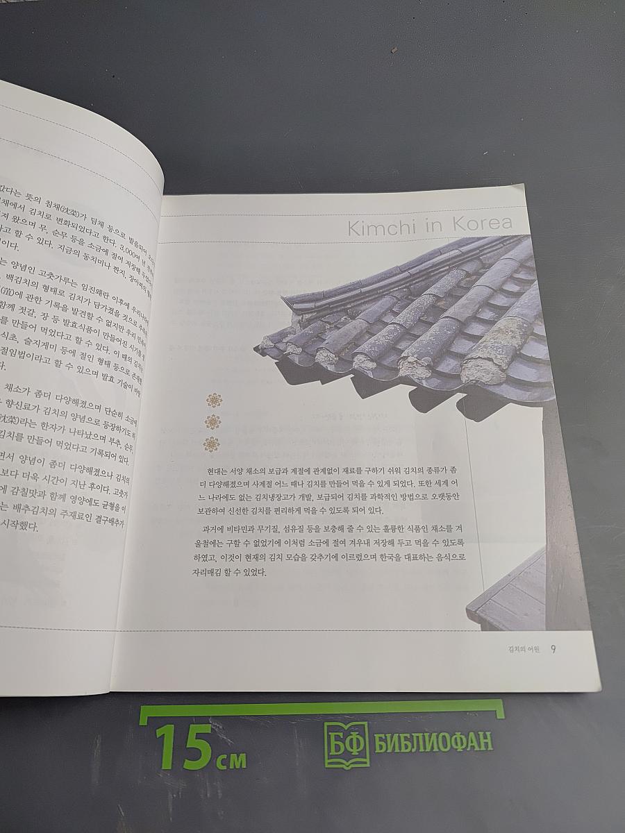 발효 맛김치 담그기