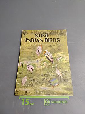 Some Indian Birds