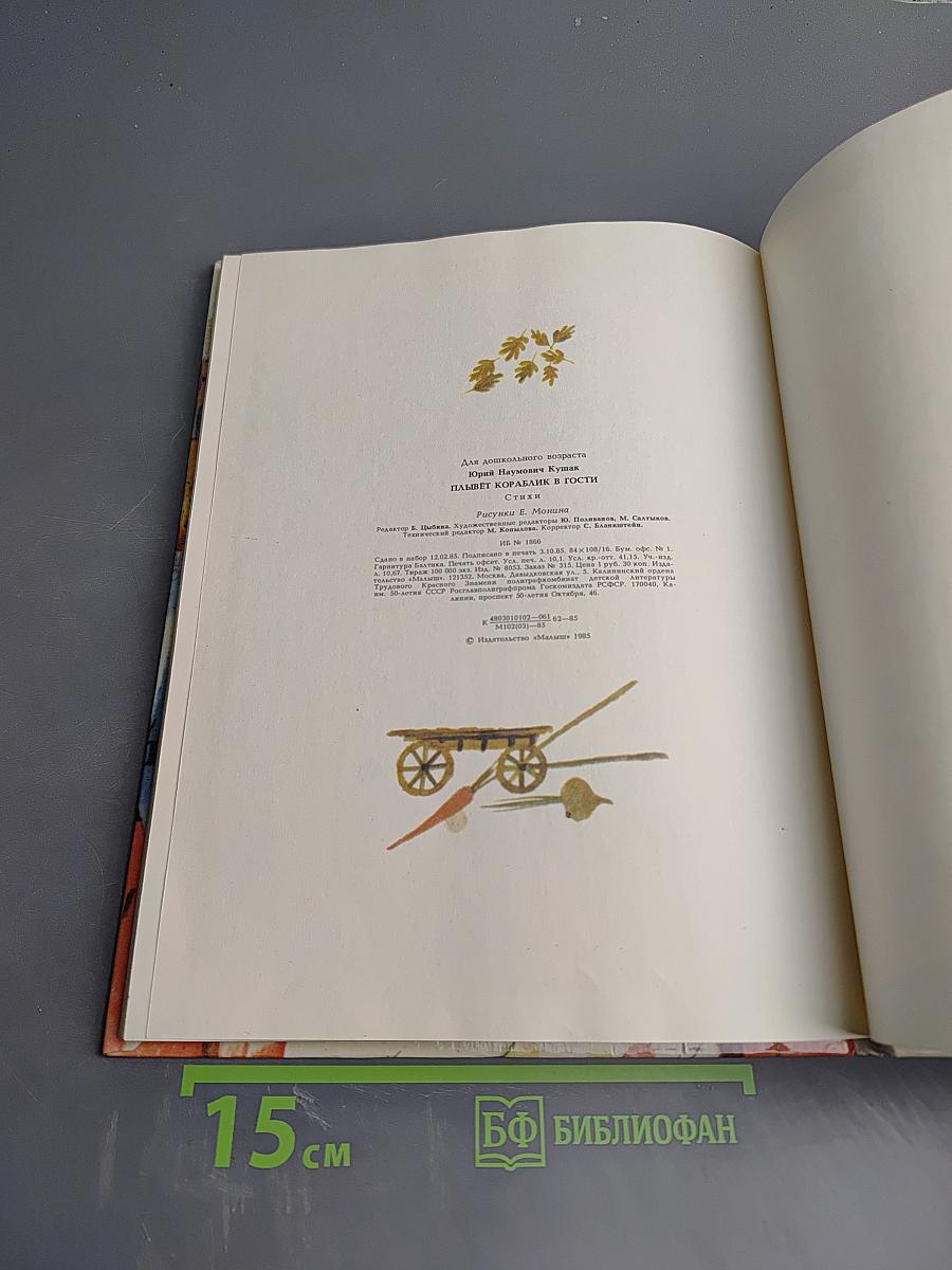 Плывёт кораблик в гости