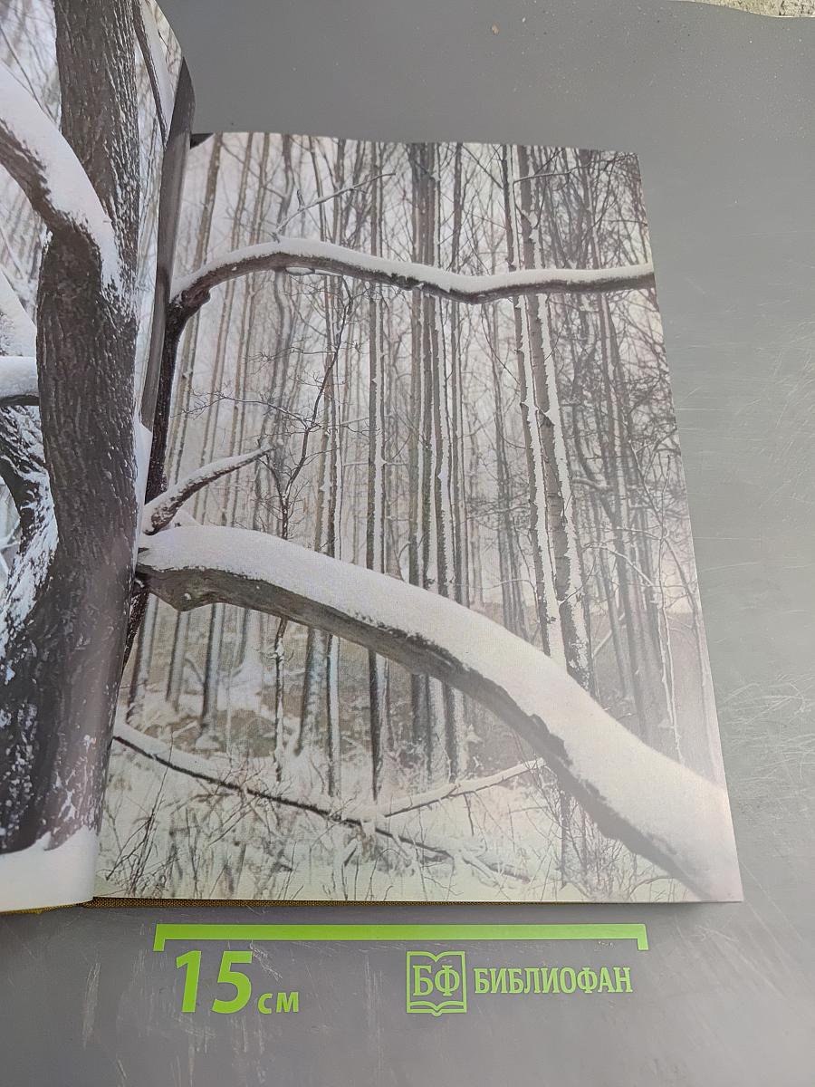 Мещерская сторона