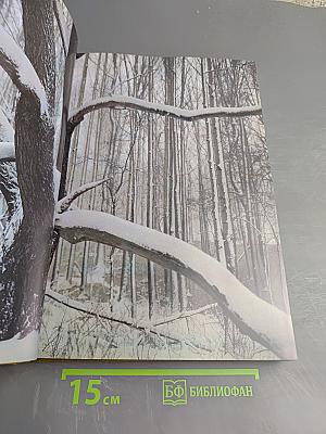 Мещерская сторона