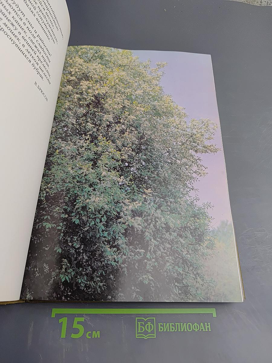 Мещерская сторона