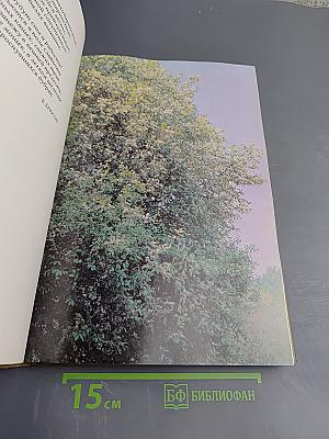 Мещерская сторона