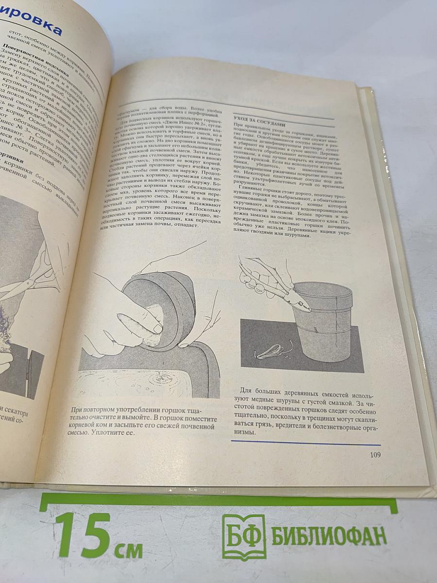 Растения под стеклом