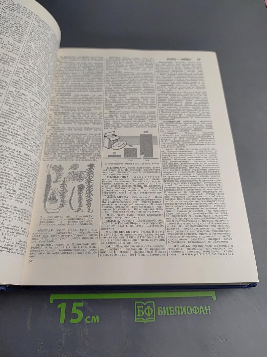 Энциклопедический словарь. Том 2. Маскат - Яя