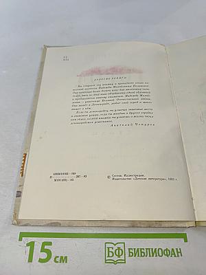 Город у залива