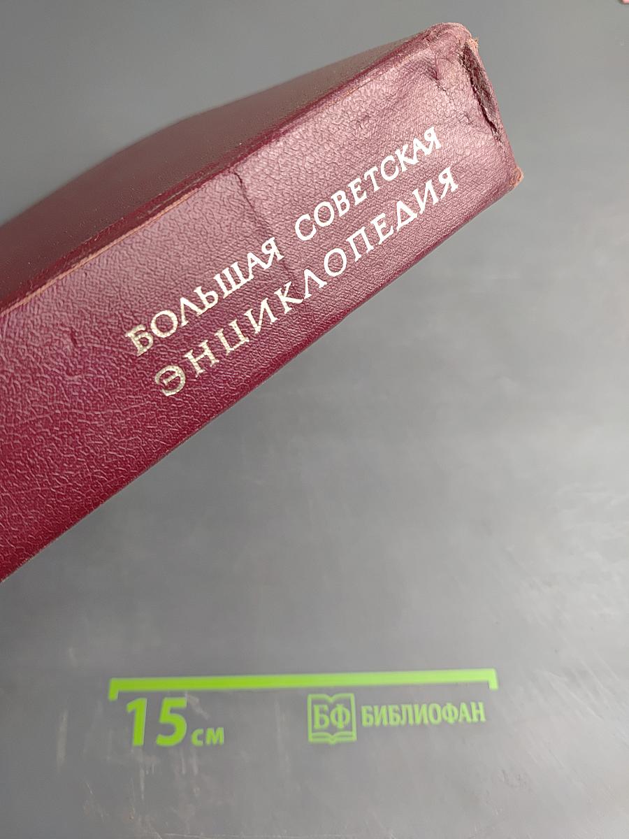 Большая Советская Энциклопедия. Том 19: Отоми - Пластырь