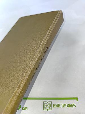 Купол надежды