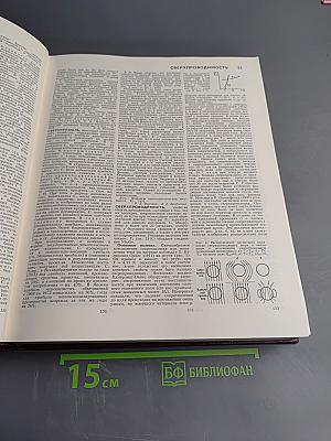 Большая советская энциклопедия. Том 23: САФЛОР — СОАН